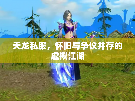 天龙私服，怀旧与争议并存的虚拟江湖
