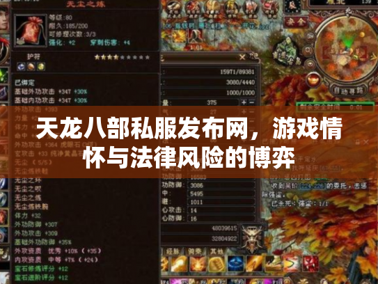 天龙八部私服发布网，游戏情怀与法律风险的博弈