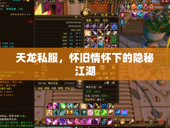 天龙私服，怀旧情怀下的隐秘江湖