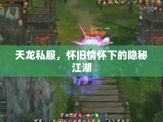 天龙私服，怀旧情怀下的隐秘江湖