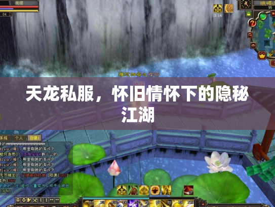 天龙私服，怀旧情怀下的隐秘江湖