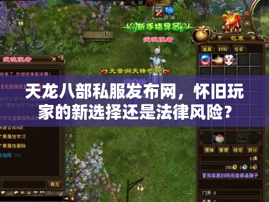 天龙八部私服发布网，怀旧玩家的新选择还是法律风险？