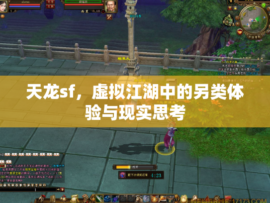 天龙sf，虚拟江湖中的另类体验与现实思考