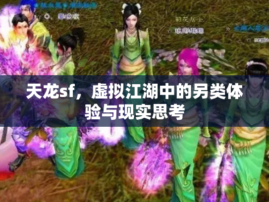 天龙sf，虚拟江湖中的另类体验与现实思考