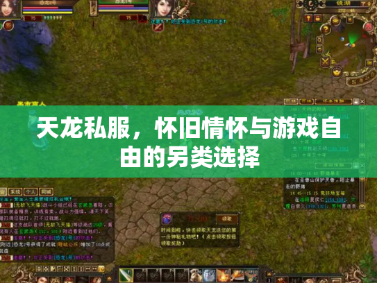 天龙私服，怀旧情怀与游戏自由的另类选择