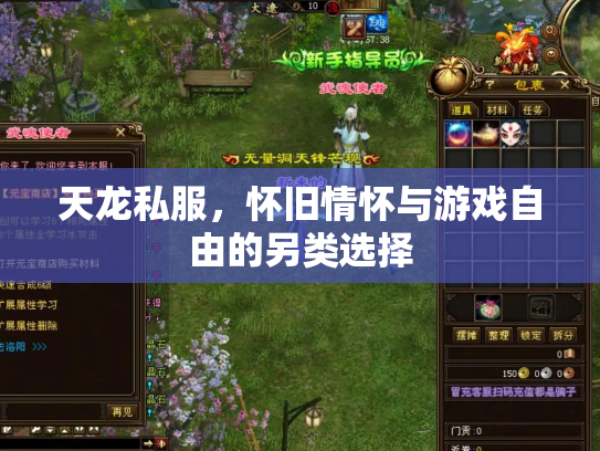 天龙私服，怀旧情怀与游戏自由的另类选择