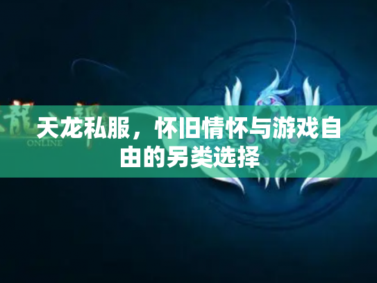 天龙私服，怀旧情怀与游戏自由的另类选择