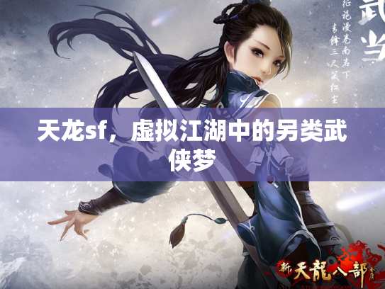 天龙sf，虚拟江湖中的另类武侠梦