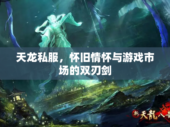 天龙私服，怀旧情怀与游戏市场的双刃剑