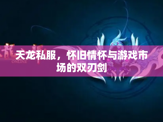 天龙私服，怀旧情怀与游戏市场的双刃剑