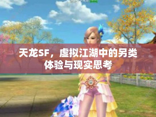 天龙SF，虚拟江湖中的另类体验与现实思考