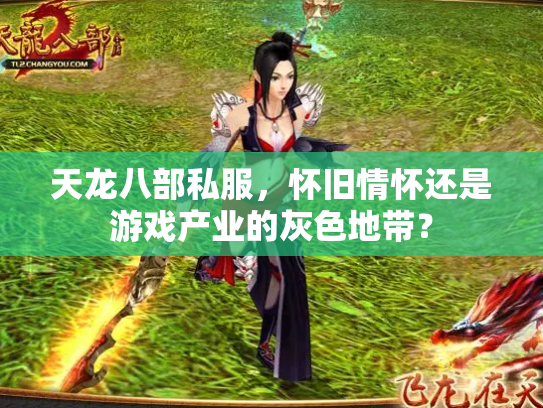 天龙八部私服，怀旧情怀还是游戏产业的灰色地带？