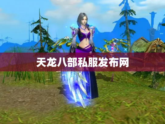 天龙八部私服发布网