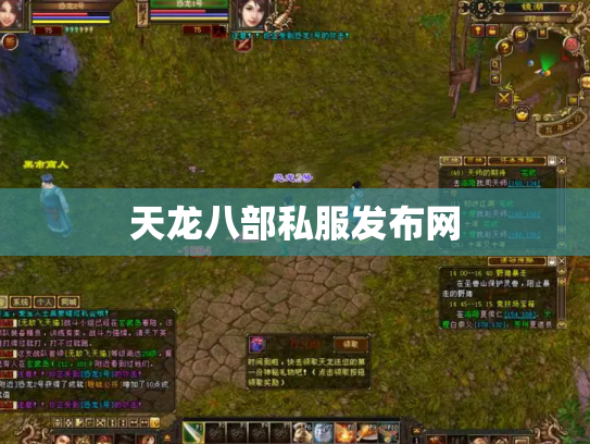天龙八部私服发布网