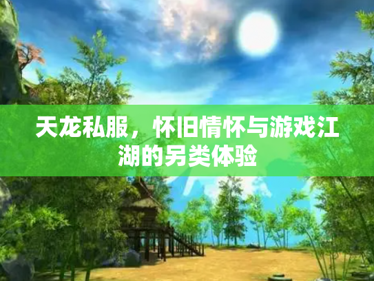 天龙私服，怀旧情怀与游戏江湖的另类体验