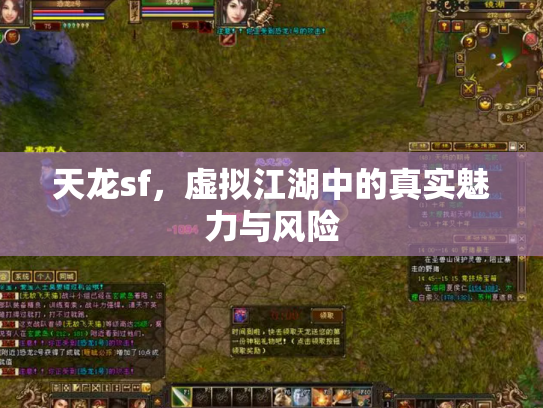 天龙sf，虚拟江湖中的真实魅力与风险