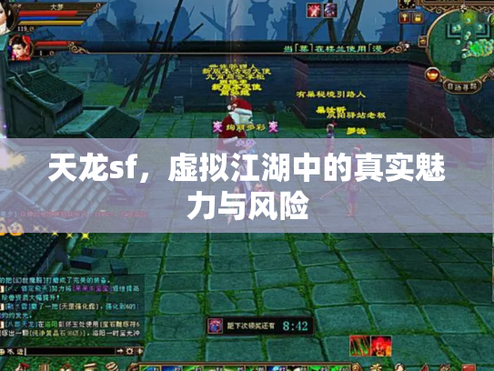 天龙sf，虚拟江湖中的真实魅力与风险