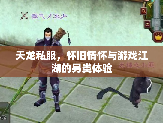 天龙私服，怀旧情怀与游戏江湖的另类体验