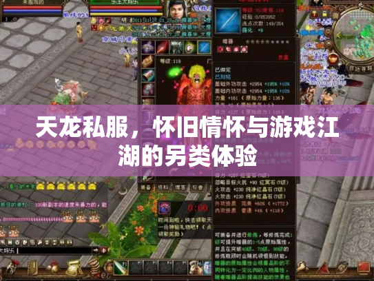 天龙私服，怀旧情怀与游戏江湖的另类体验