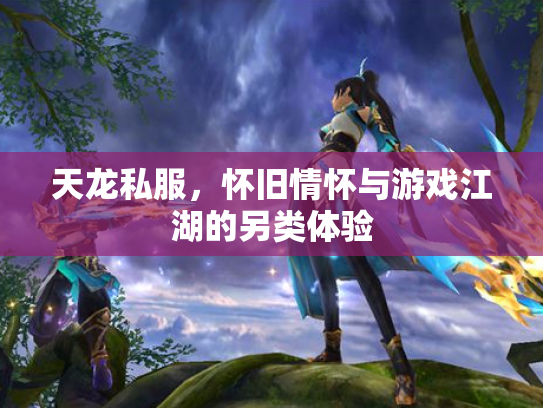 天龙私服，怀旧情怀与游戏江湖的另类体验