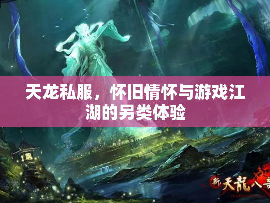 天龙私服，怀旧情怀与游戏江湖的另类体验