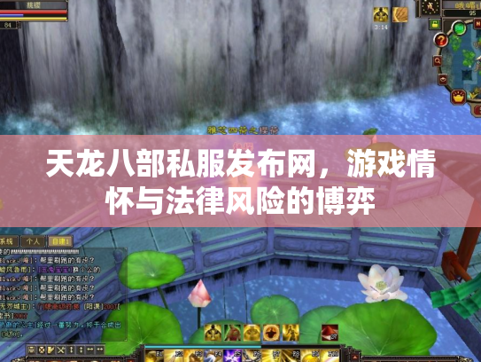 天龙八部私服发布网，游戏情怀与法律风险的博弈
