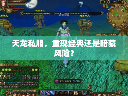 天龙私服，重现经典还是暗藏风险？