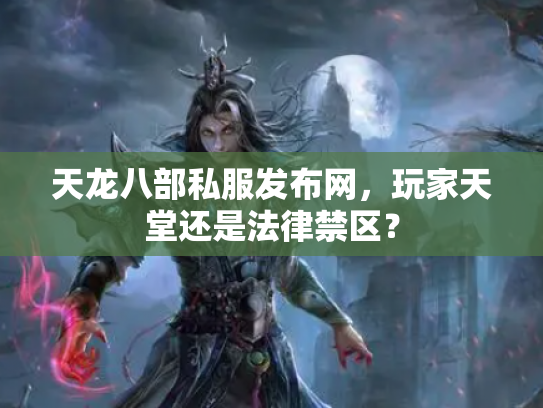 天龙八部私服发布网，玩家天堂还是法律禁区？