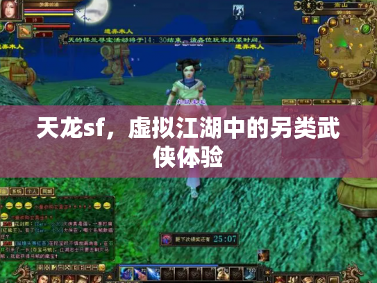 天龙sf，虚拟江湖中的另类武侠体验