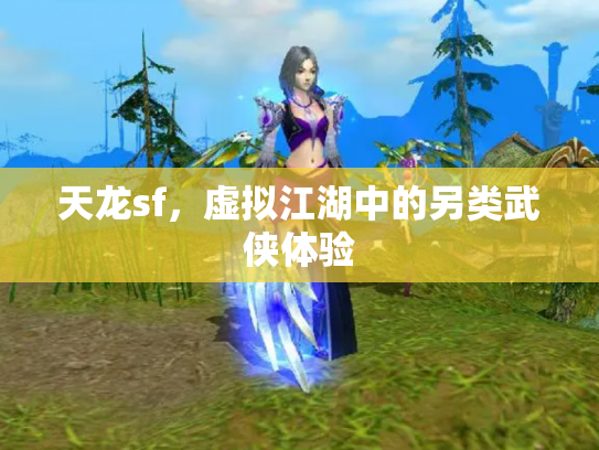 天龙sf，虚拟江湖中的另类武侠体验