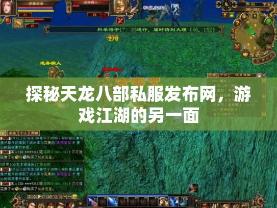 探秘天龙八部私服发布网，游戏江湖的另一面