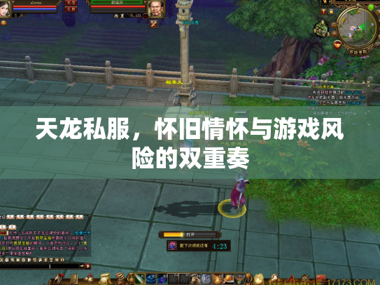 天龙私服，怀旧情怀与游戏风险的双重奏