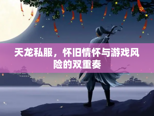 天龙私服，怀旧情怀与游戏风险的双重奏