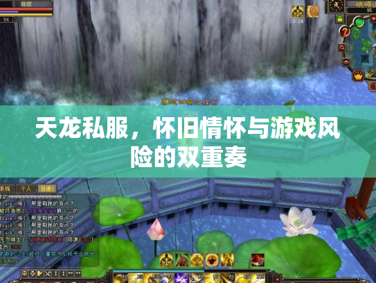 天龙私服，怀旧情怀与游戏风险的双重奏
