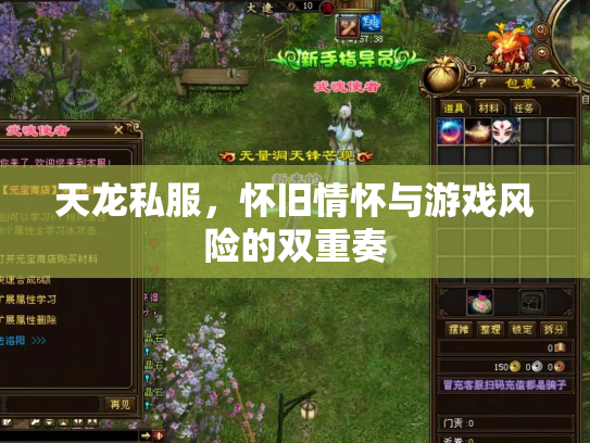 天龙私服，怀旧情怀与游戏风险的双重奏