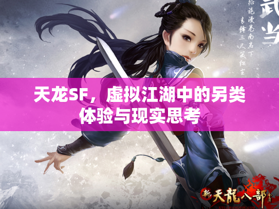 天龙SF，虚拟江湖中的另类体验与现实思考