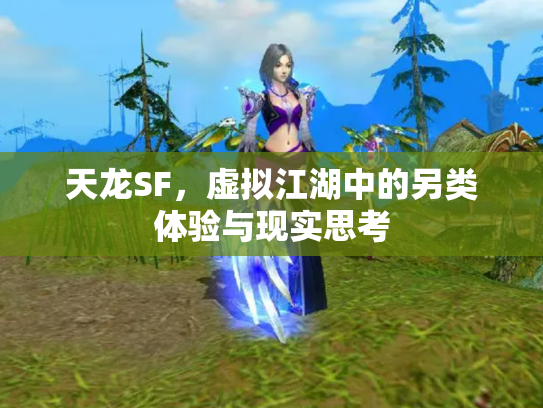 天龙SF，虚拟江湖中的另类体验与现实思考