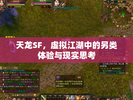 天龙SF，虚拟江湖中的另类体验与现实思考