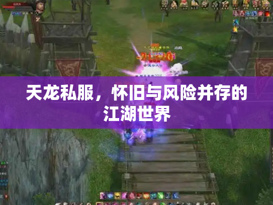 天龙私服，怀旧与风险并存的江湖世界