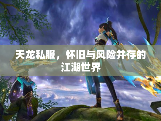 天龙私服，怀旧与风险并存的江湖世界