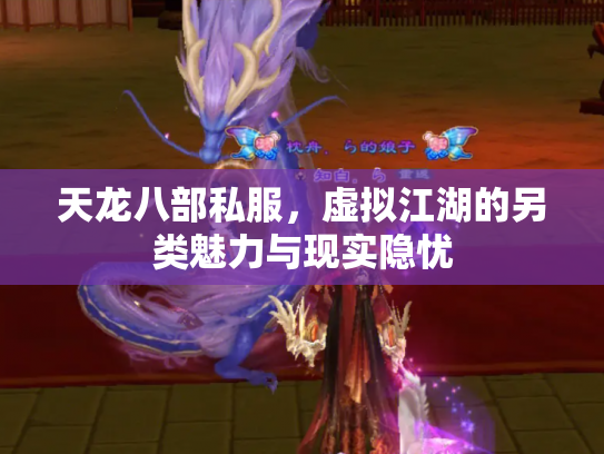 天龙八部私服，虚拟江湖的另类魅力与现实隐忧