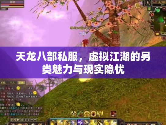 天龙八部私服，虚拟江湖的另类魅力与现实隐忧