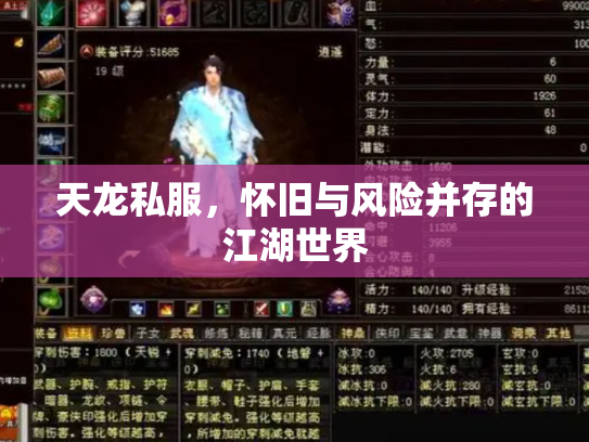 天龙私服，怀旧与风险并存的江湖世界