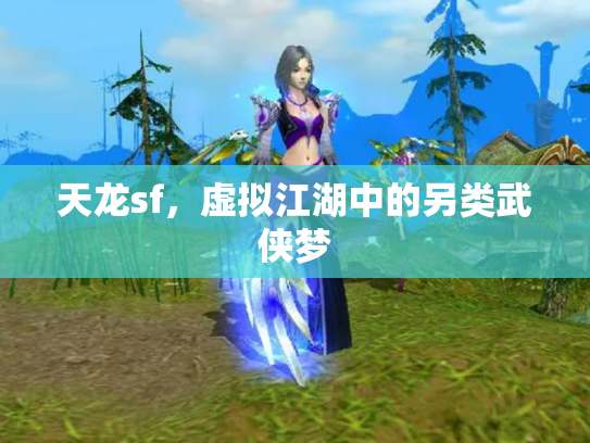 天龙sf，虚拟江湖中的另类武侠梦