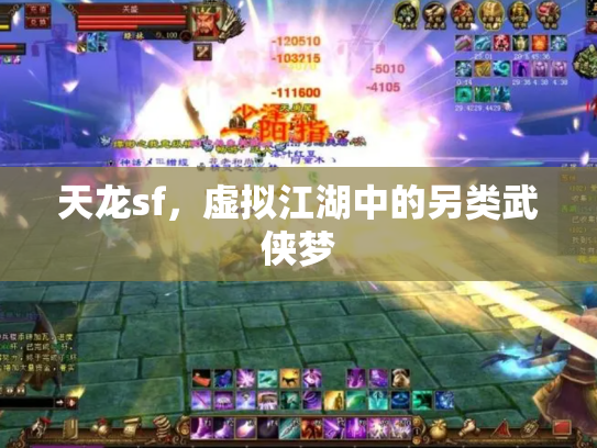 天龙sf，虚拟江湖中的另类武侠梦