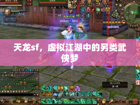 天龙sf，虚拟江湖中的另类武侠梦