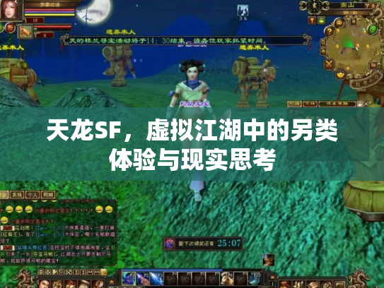 天龙SF，虚拟江湖中的另类体验与现实思考