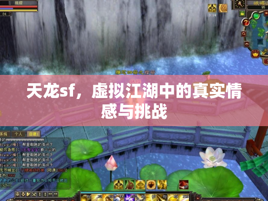 天龙sf，虚拟江湖中的真实情感与挑战