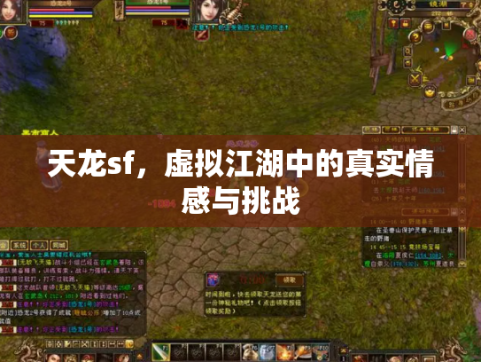 天龙sf，虚拟江湖中的真实情感与挑战