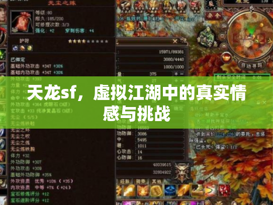 天龙sf，虚拟江湖中的真实情感与挑战